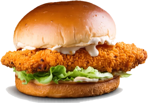 MIXAT burger